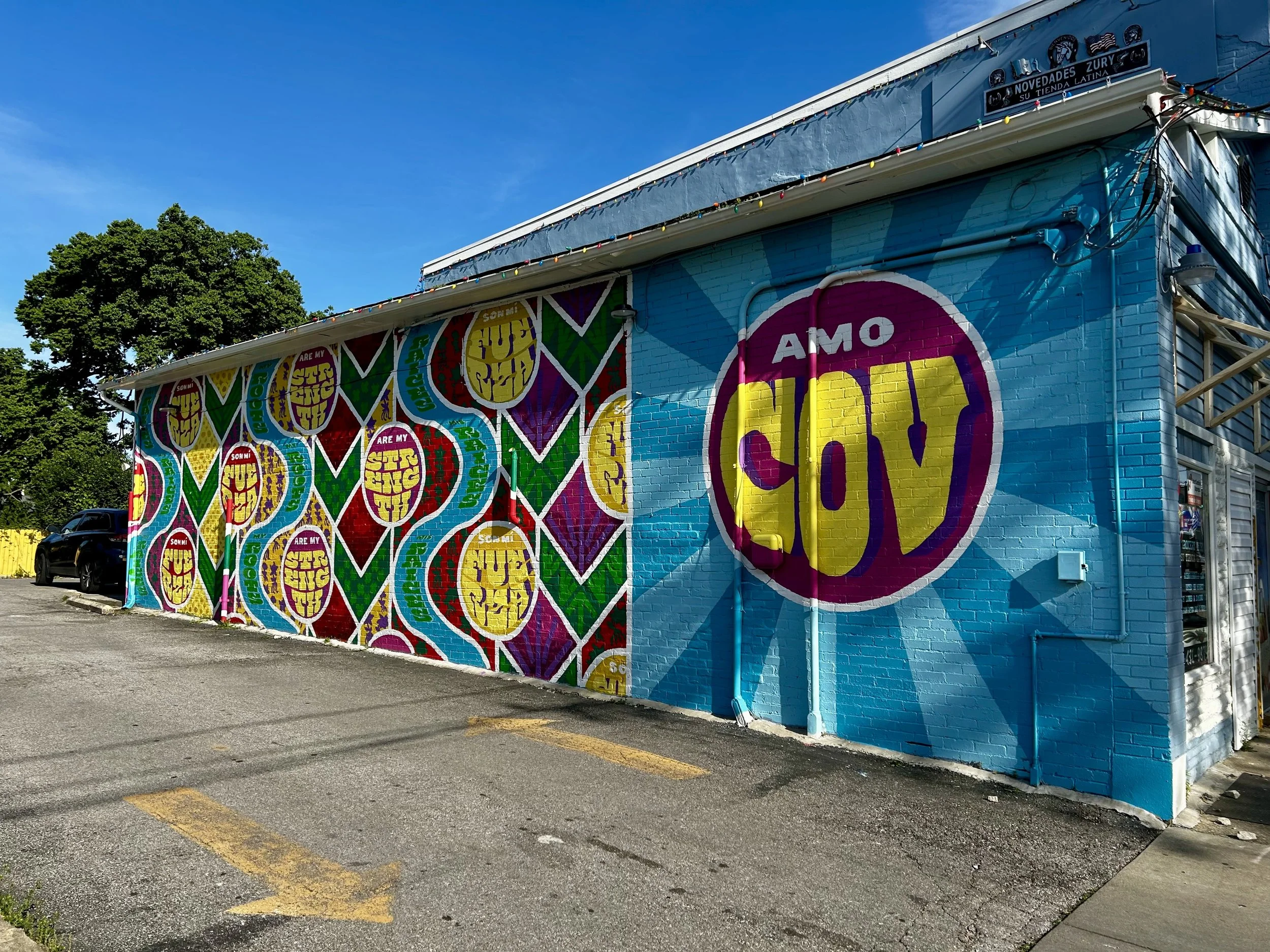 Mis Raíces Son Mi Fuerza