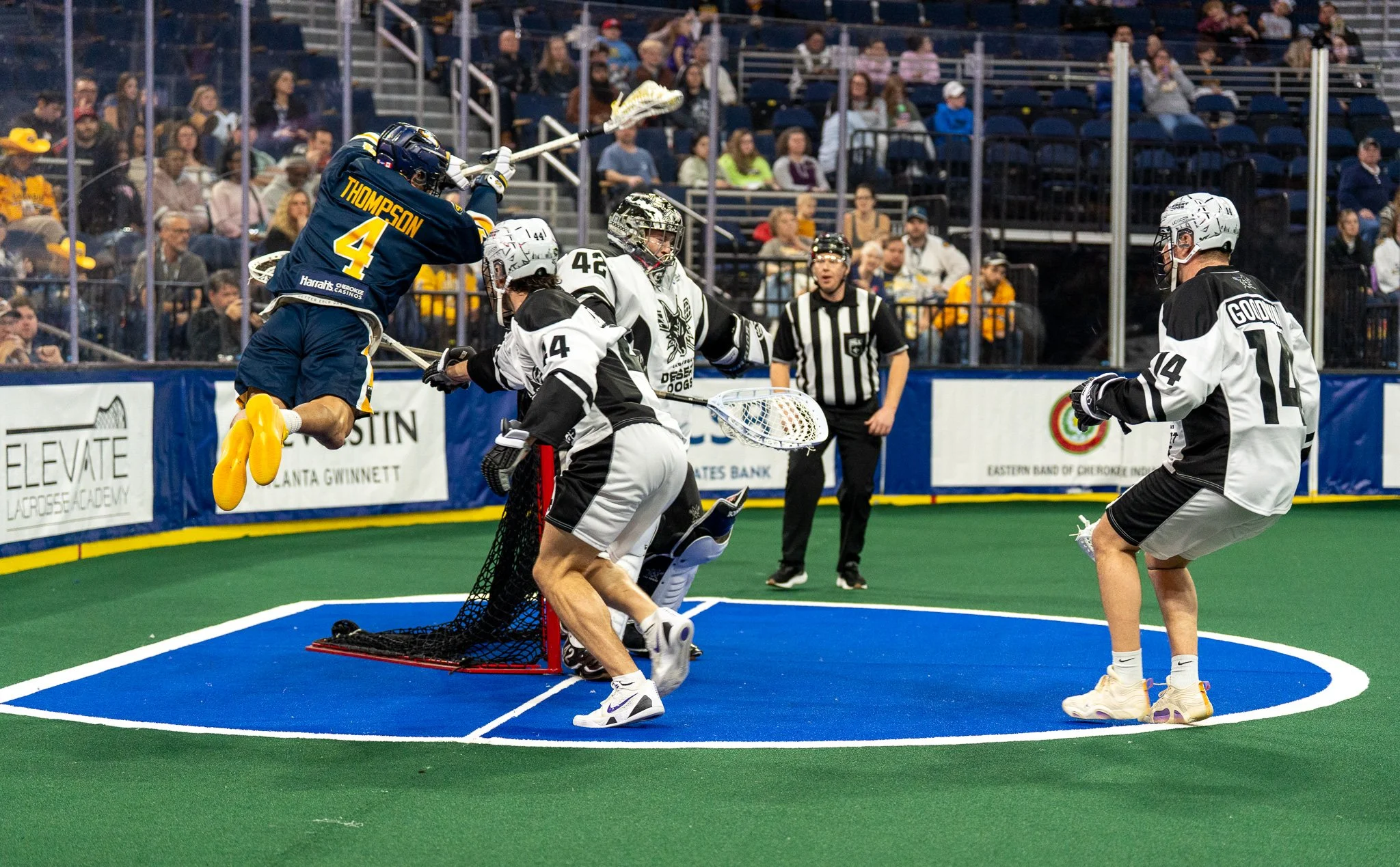 Swarm Blitz Desert Dogs, Stifle Lefties in 12-9 Win