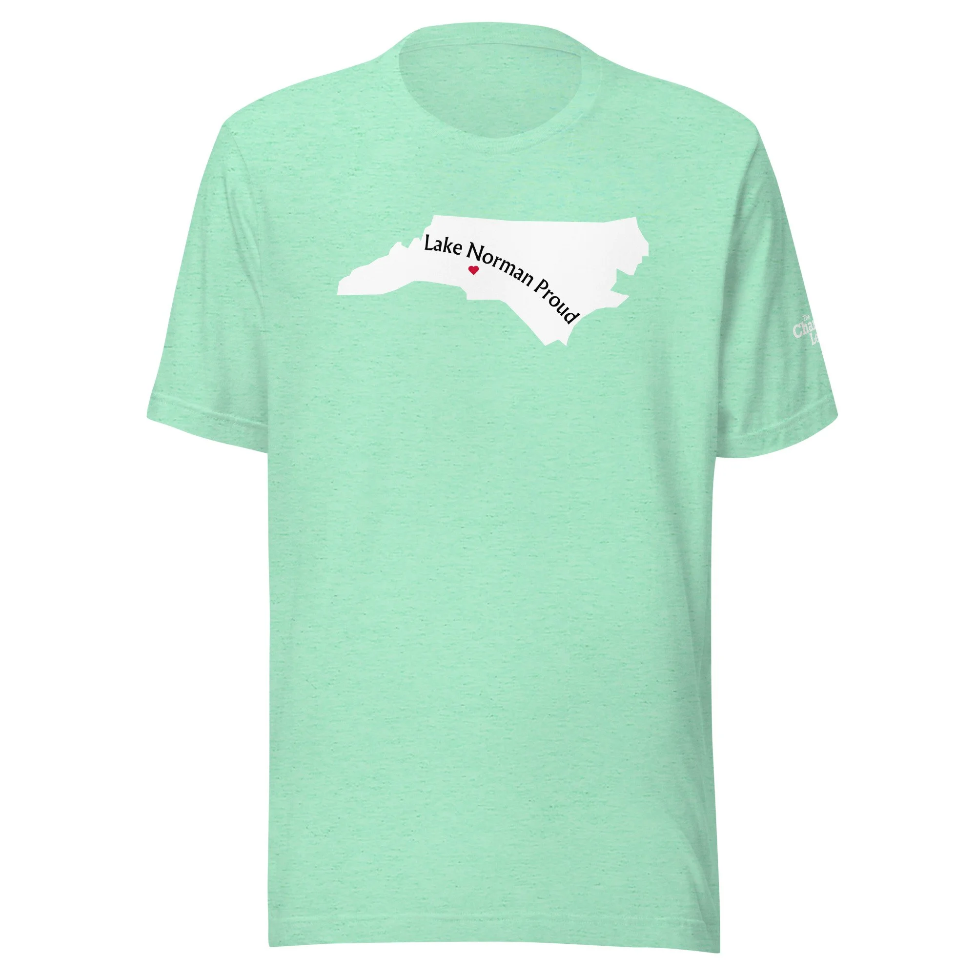 unisex-staple-t-shirt-heather-mint-front-674f3a23a19cb.jpg