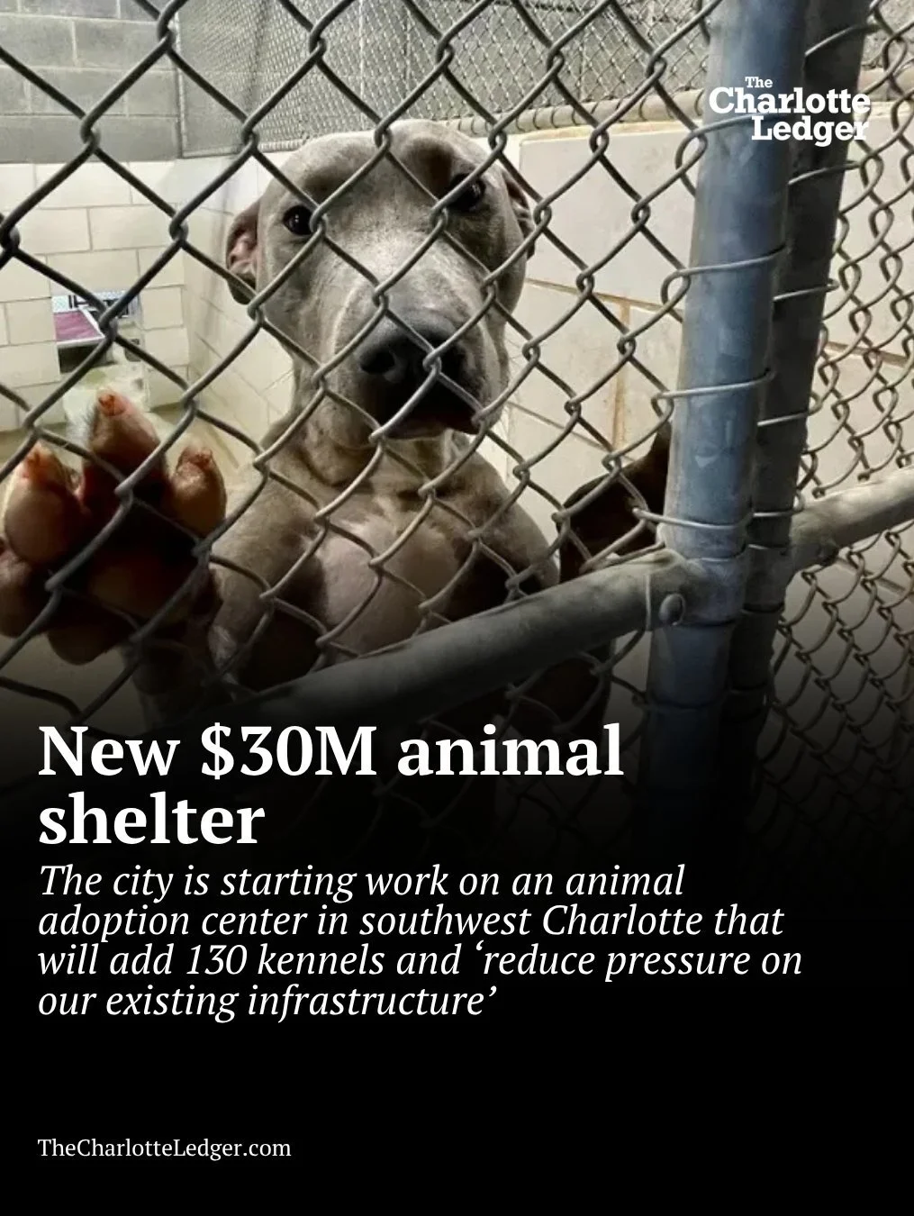 The city has started planning a second Animal Care & Control facility that will add 130 kennels and help ease overcrowding at the existing shelter near the airport.
Officials say that while the project is still in the early planning stages, anim