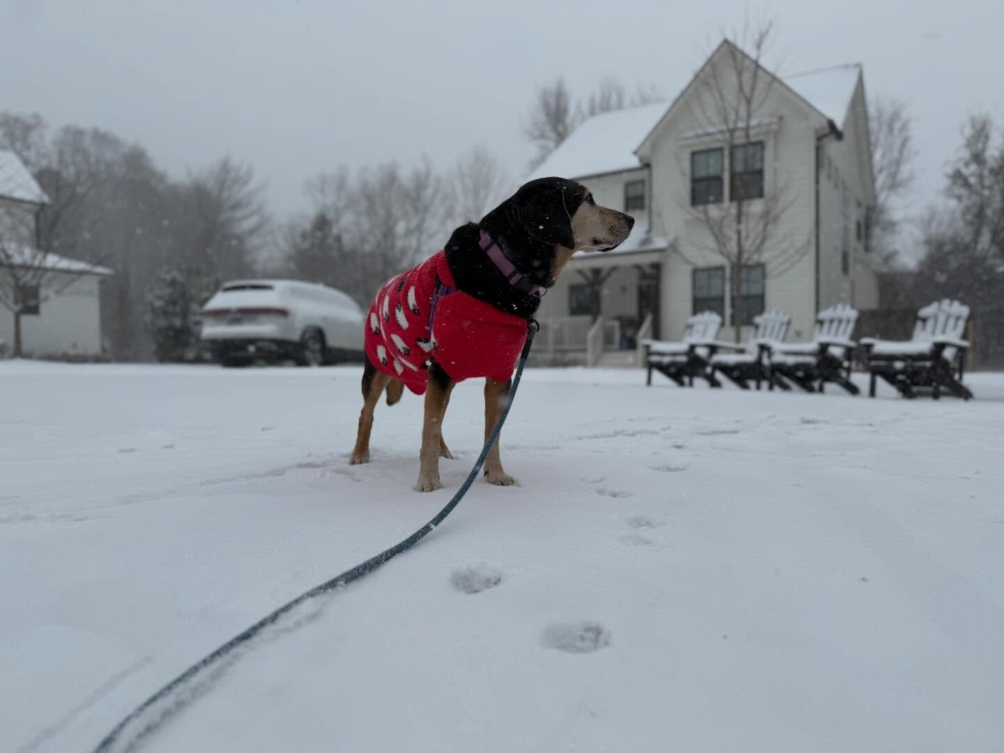 ⛄️ CHARLOTTE&rsquo;S SNOW DAY: Here are a few photos shared by Ledger readers of snowy scenes across the Charlotte region. Charlotte Douglas International Airport recorded 11 inches of snow last night, making it the fourth-largest single-snowfall day