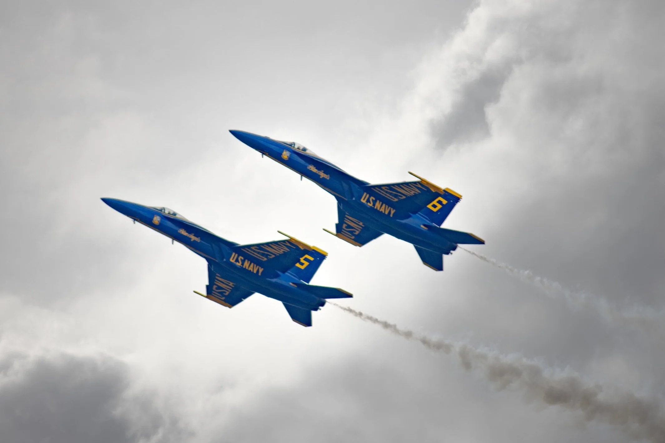 IMG_7491.jpg
