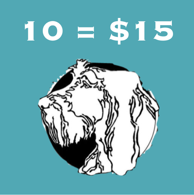 10 Raffle Tickets