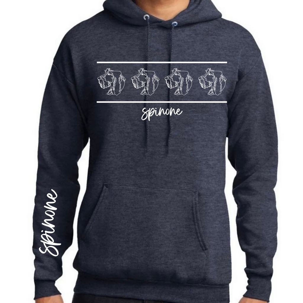 Navy Heather Multi Spin Hoodie.jpg