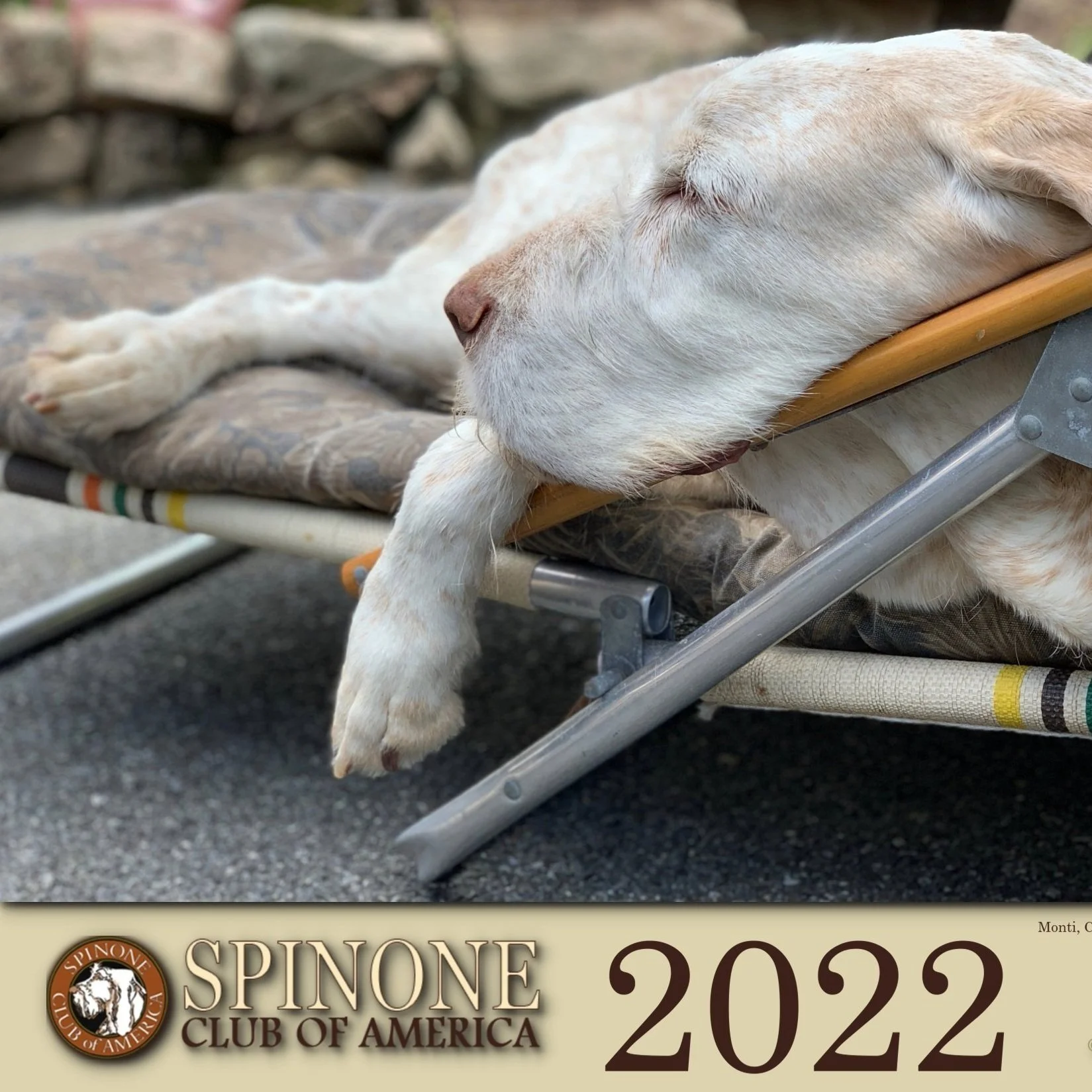 SCOA%2BCalendar%2BCover.jpg