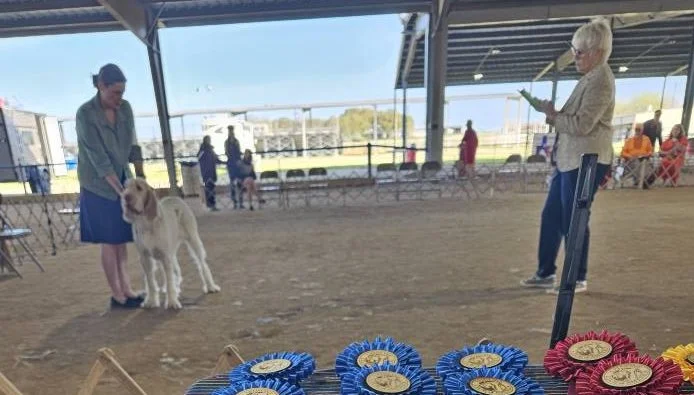 Comments from the 2025 Judges