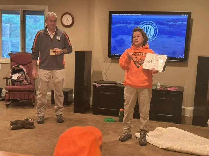 Bird Training Workshop Hosted by Rocky Mountain Regional Spinone Club