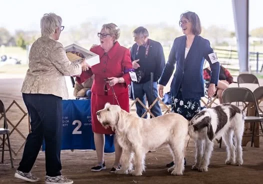 Member Spotlight: Kay McLeland