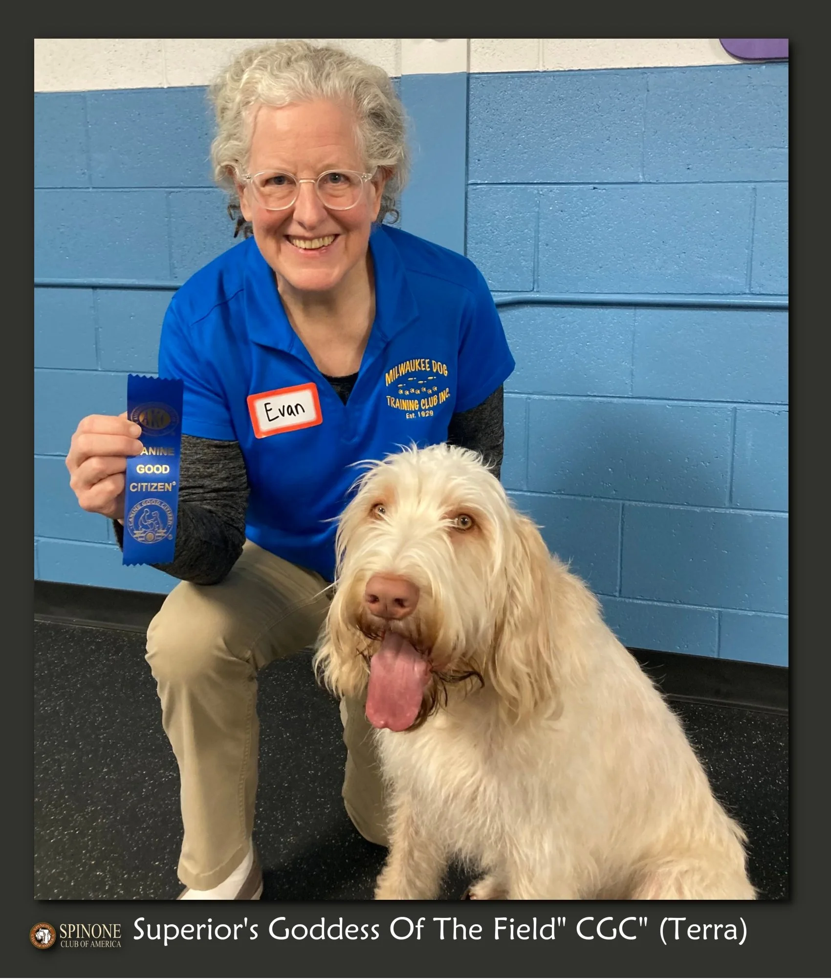 New Titles November 2025