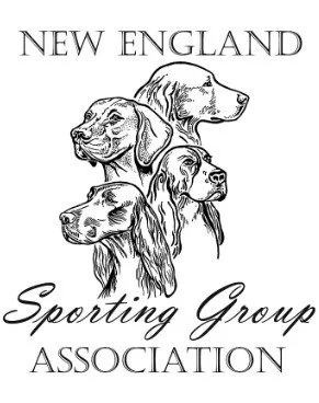 NE Sporting Group Supported Entry