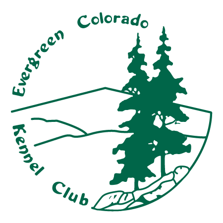 Spinone Club of America Specialty