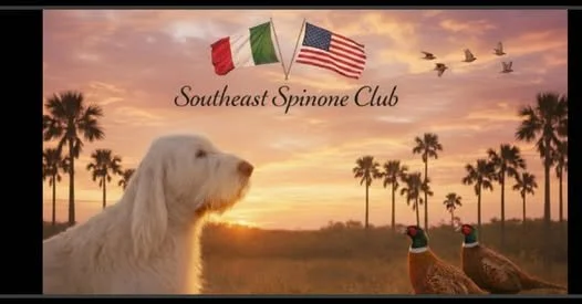 Southeast Spinone Club Specialty and SCOA Supported Entry Shows