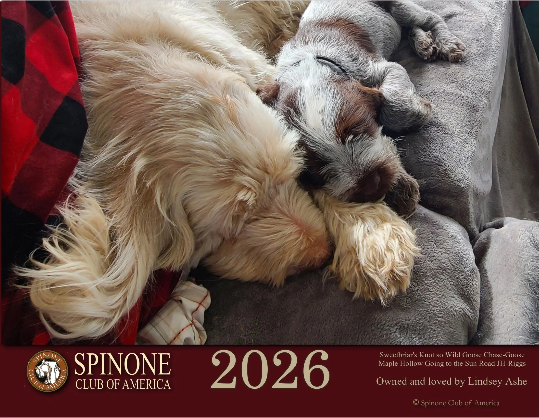 SCOA 2026 Calendar Photo Contest