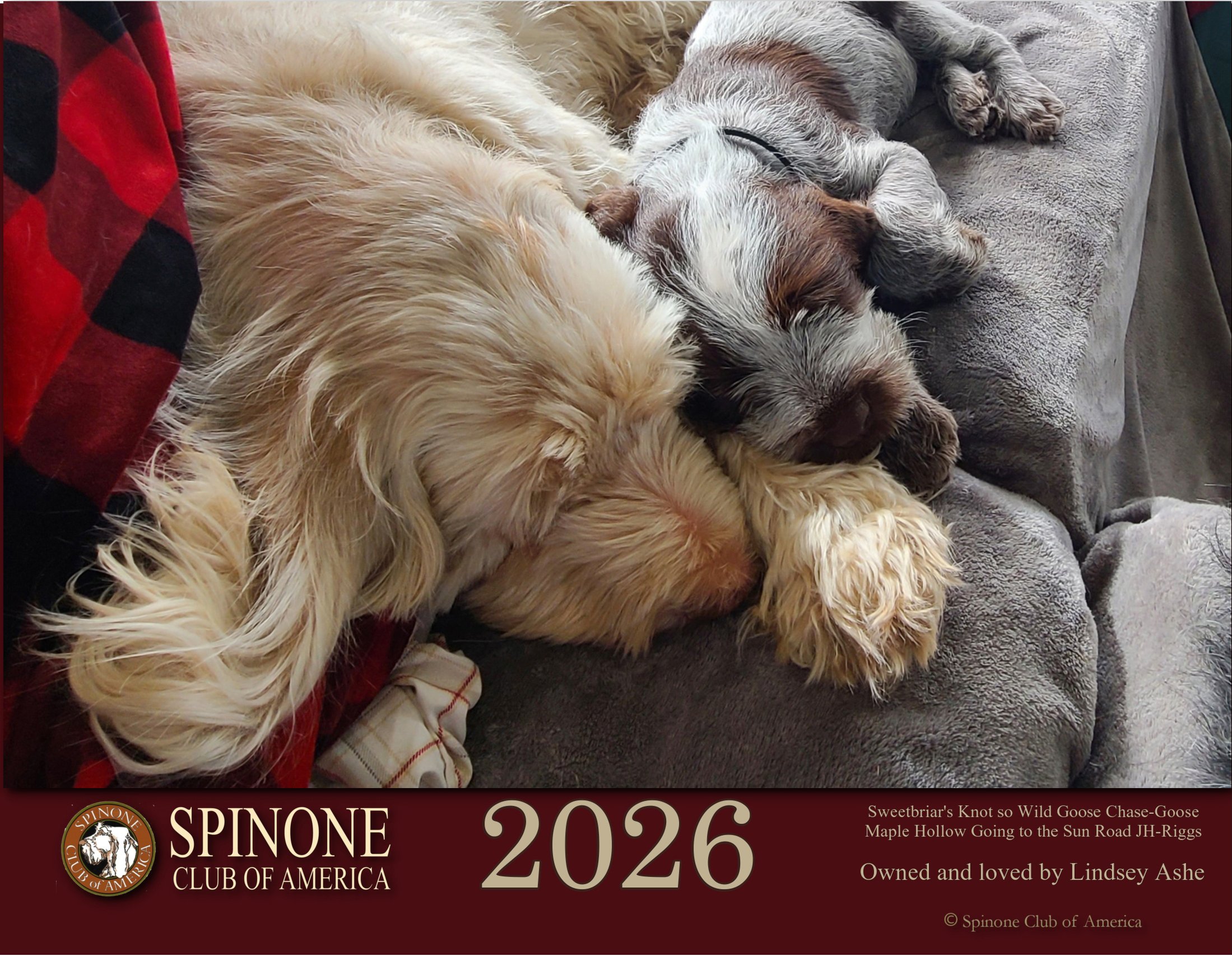 SCOA Calendar 2026_00.jpg