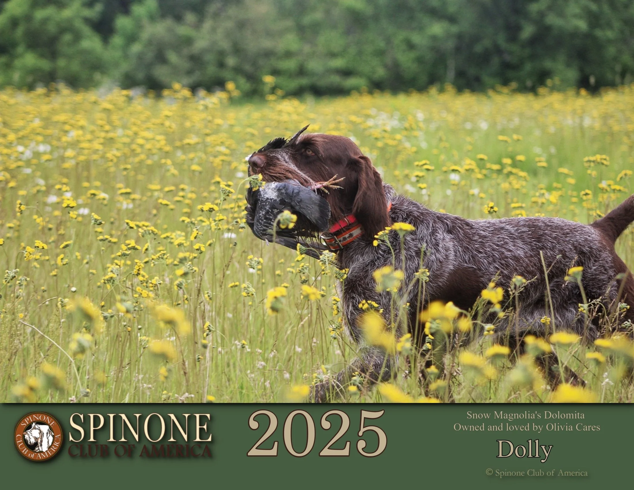 01.SCOA Calendar 2025 Cover.jpg