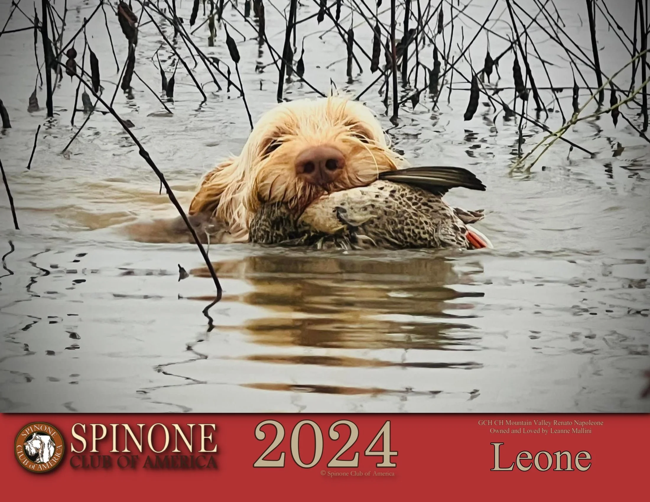 01_SCOA Calendar 2024 Cover.jpg
