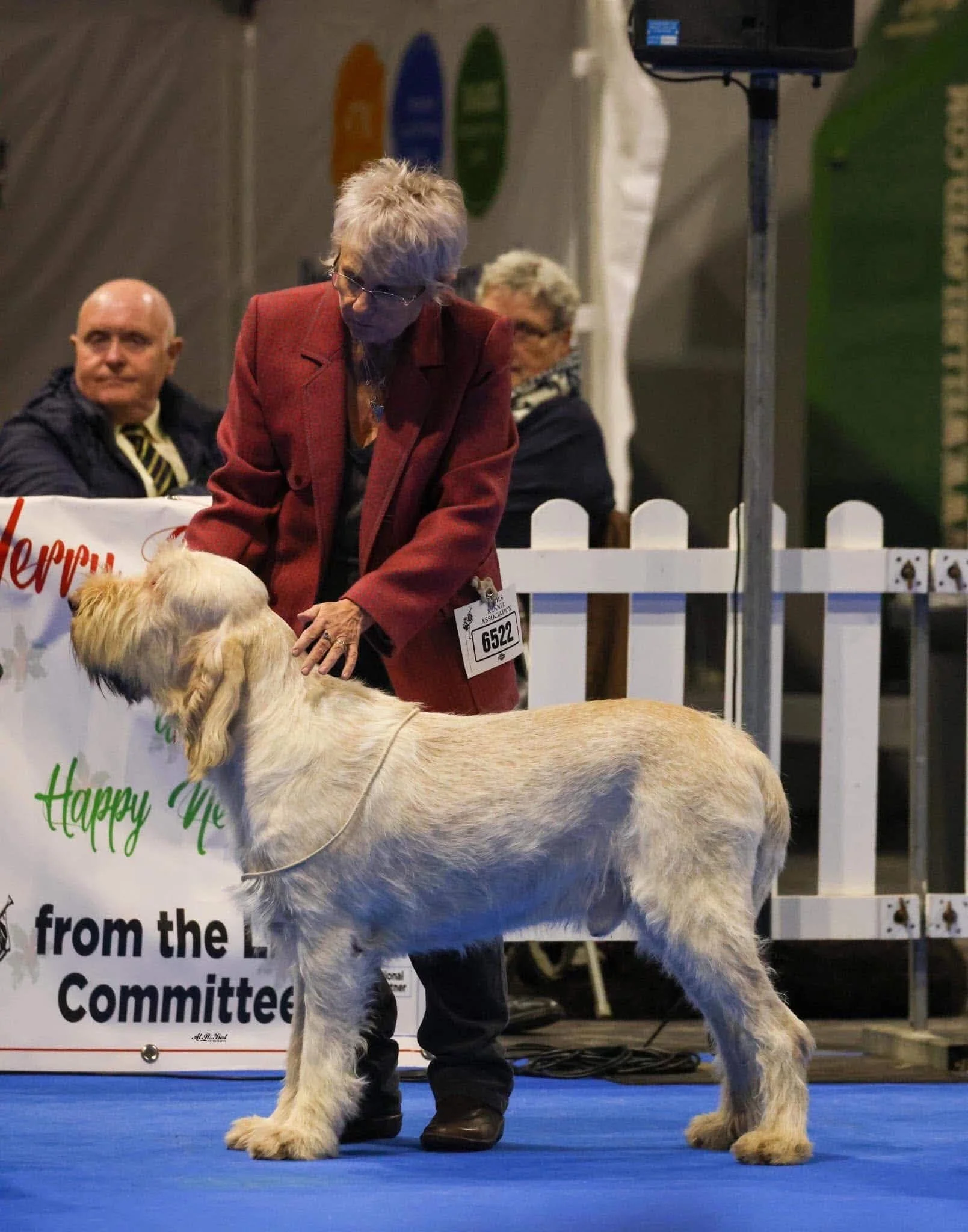 National Specialty 2026 Judge’s Notes