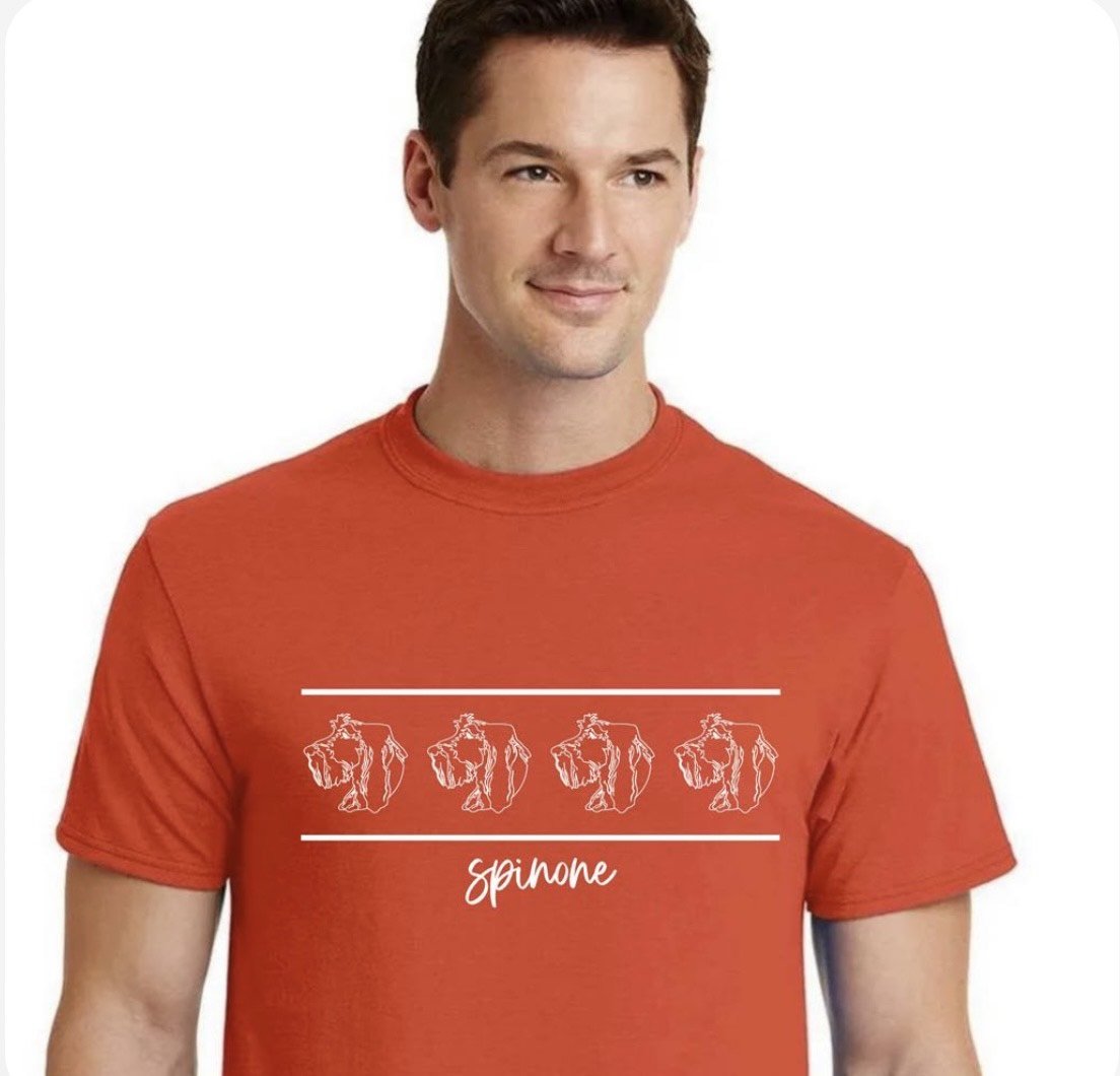 Orange Multi T shirt.jpeg