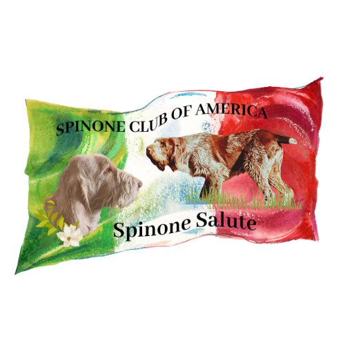 Spinone_Salute_Option_3.png