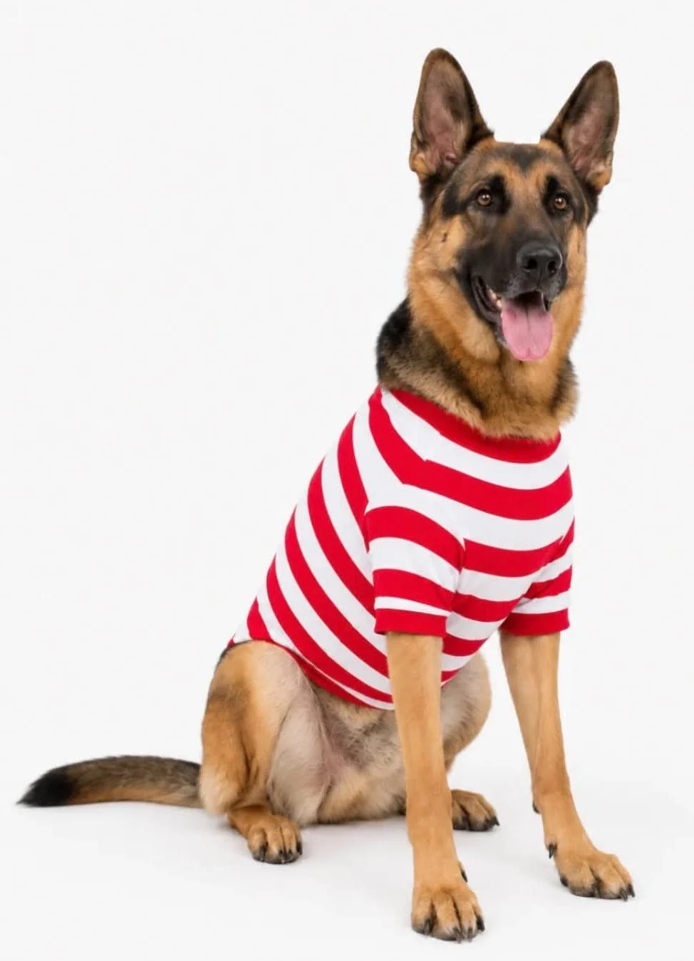 Dog Red & White Stripes.jpg