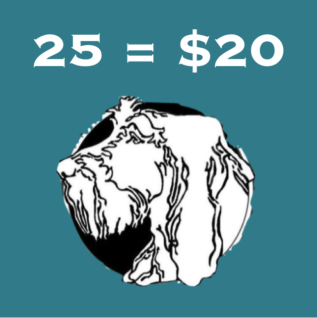 25 Raffle Tickets