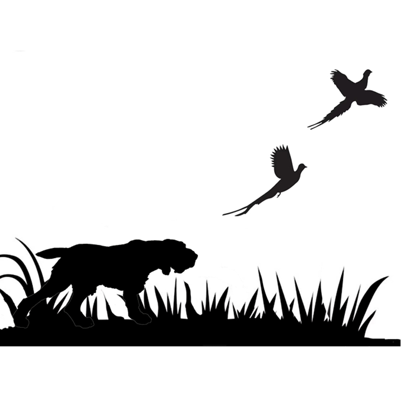 Hunting Spinone - Squared.png