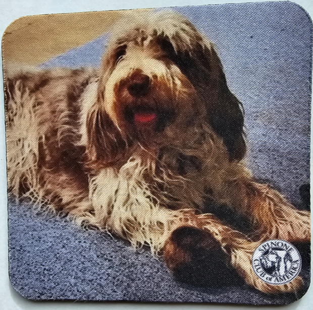 Personalized with Your Photos Coasters2.png
