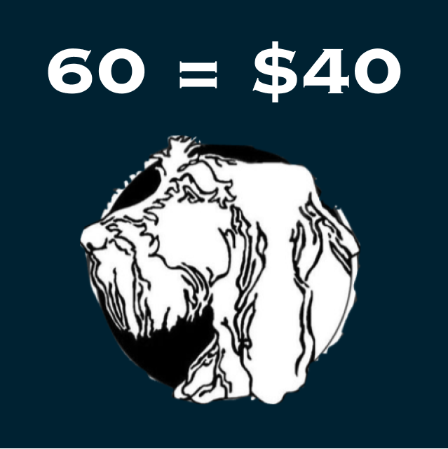 60 Raffle Tickets