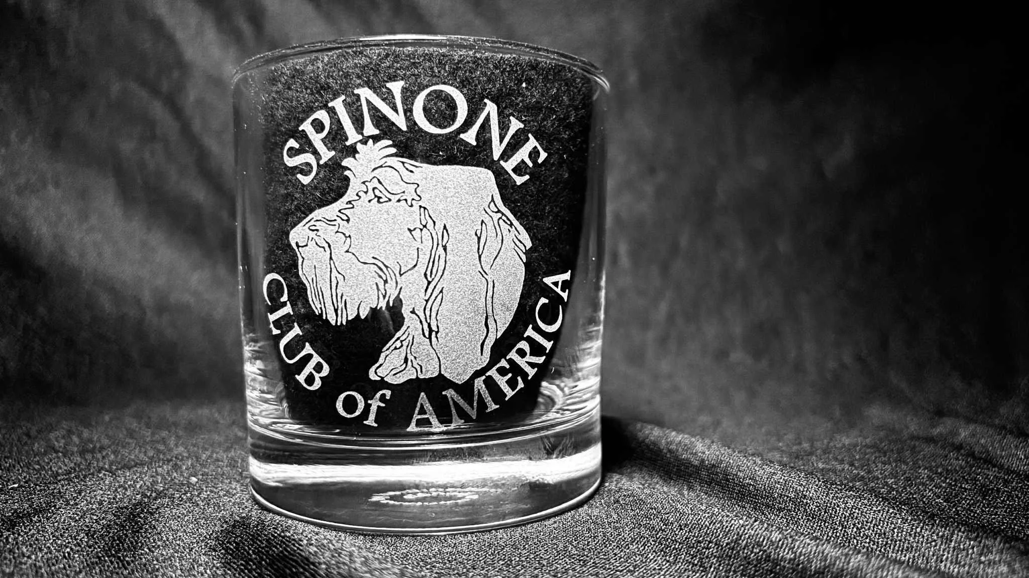 SCOA Logo Whiskey Glass.jpg
