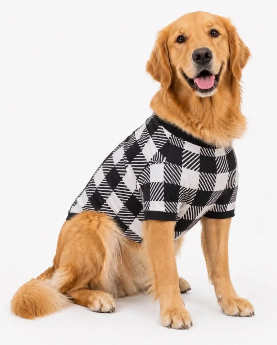 Dog Black & White Plaid.jpg