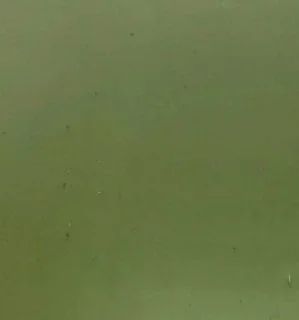 Xmas Olive Green Transparent.jpg