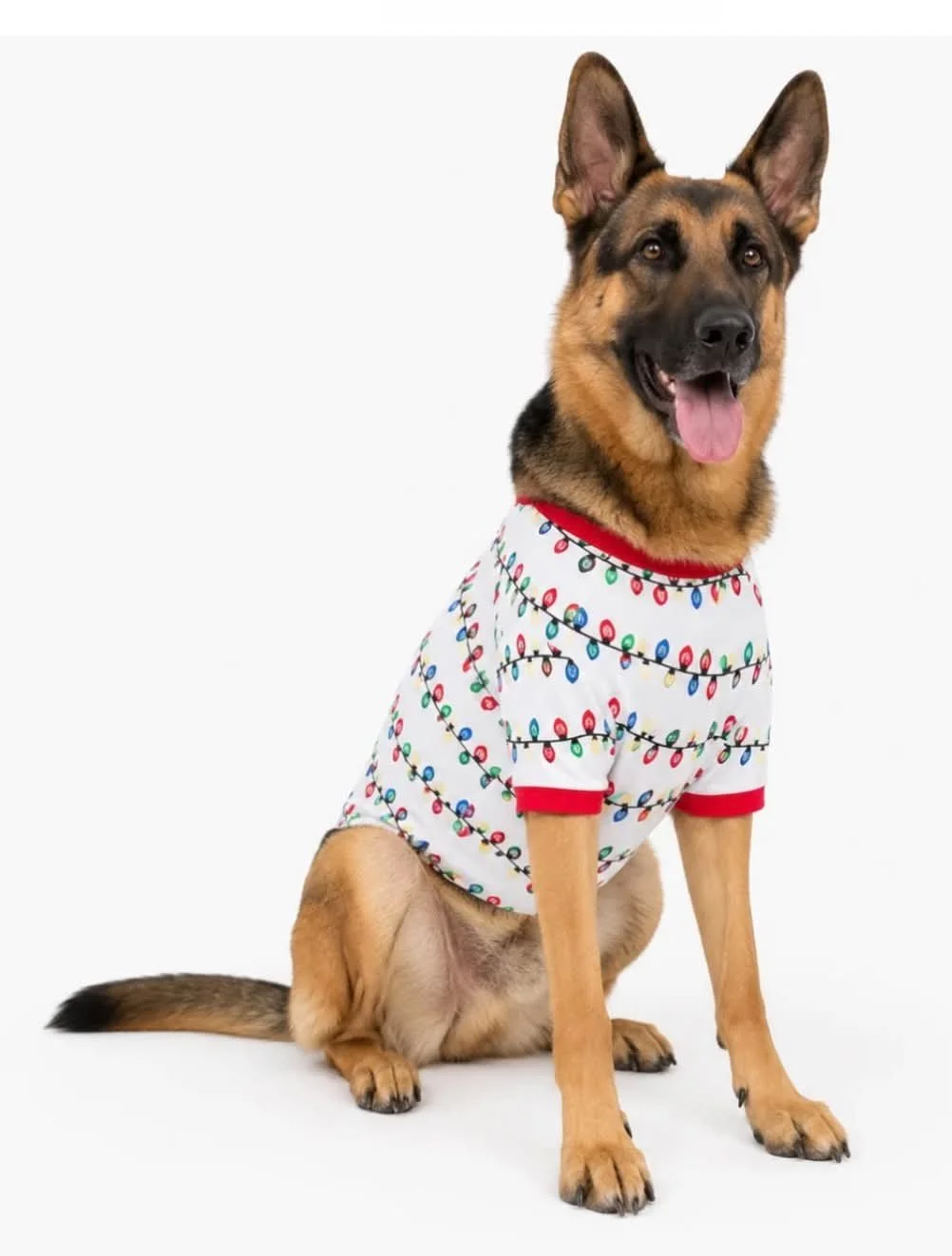 Dog Holiday Lights.jpg