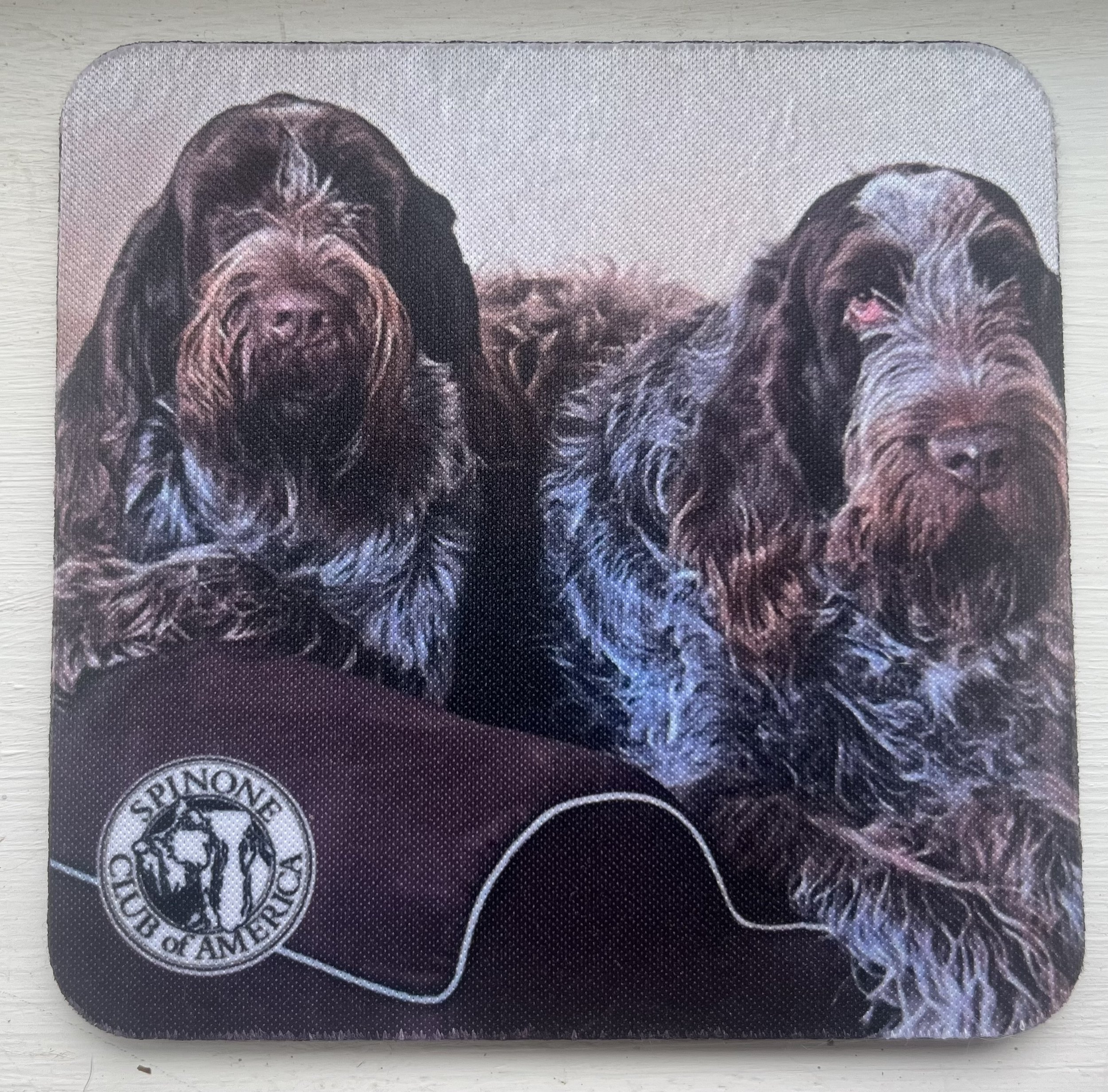 Personalized with Your Photos Coasters3.jpg