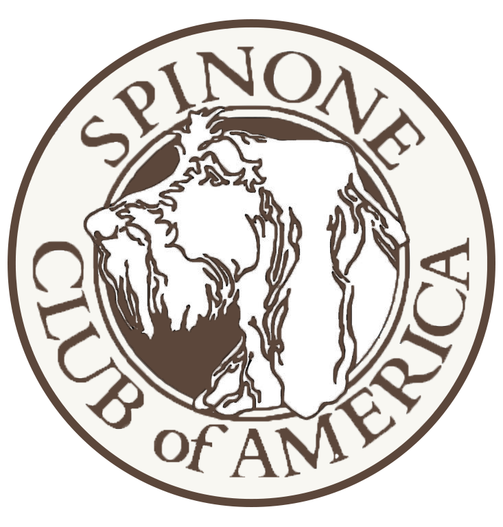 Spinone Club of America