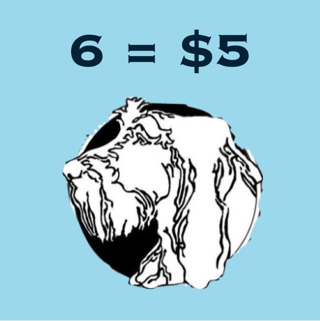 5 raffle.png