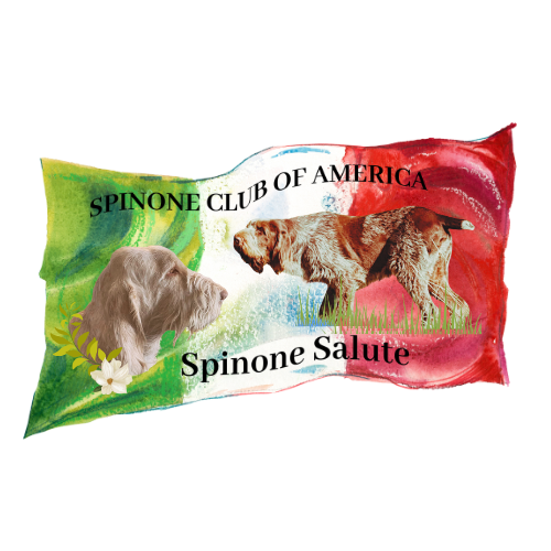 Spinone Salute Entry