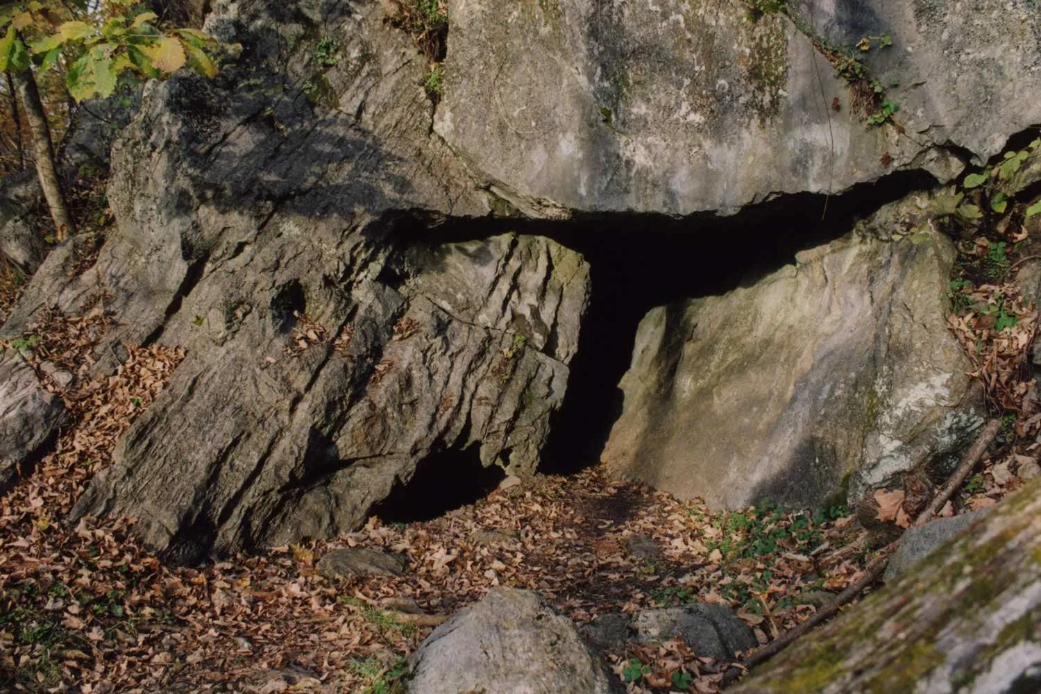 limestone-cave-entrance.webp