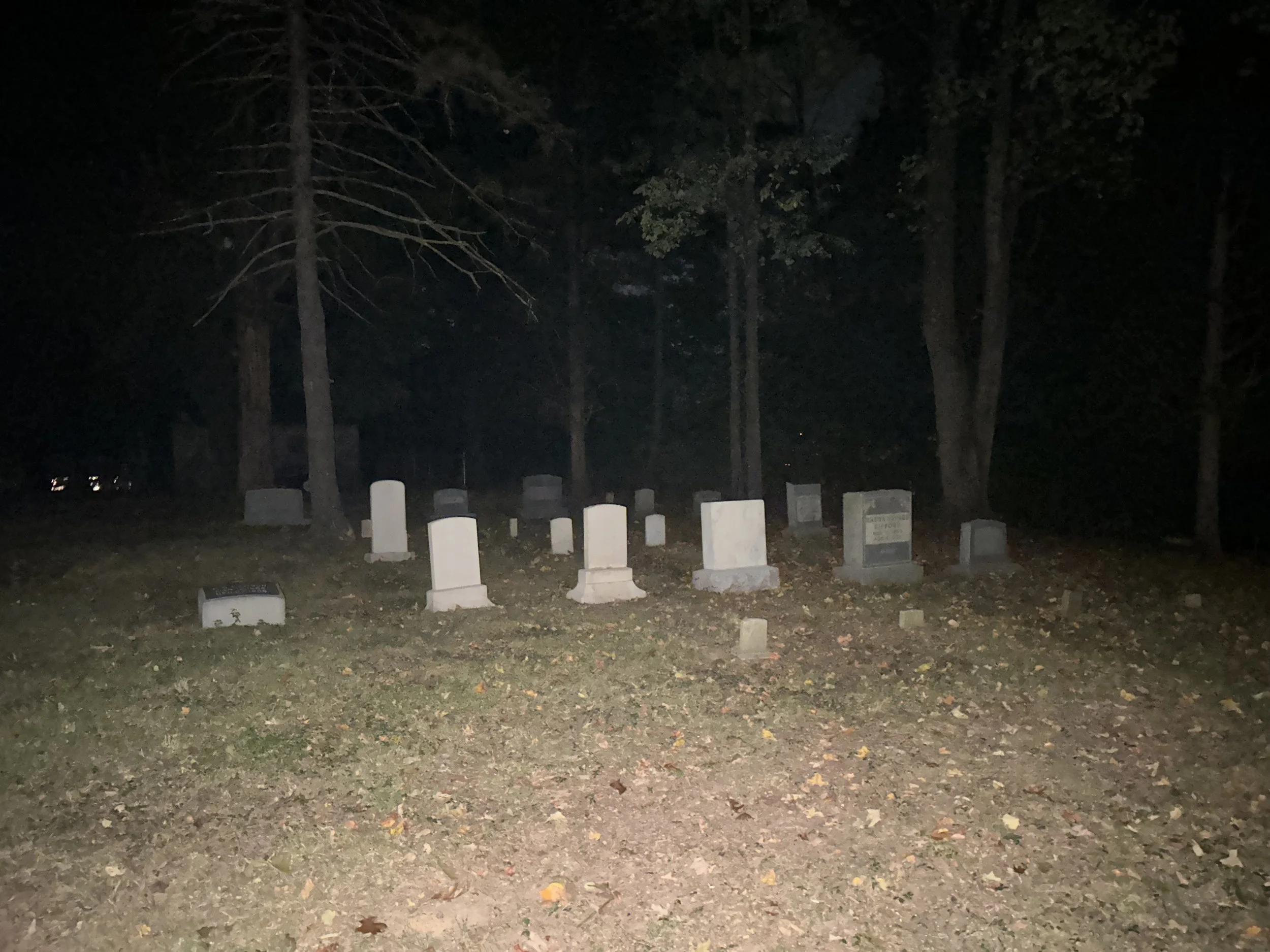 IMG_4743.jpeg