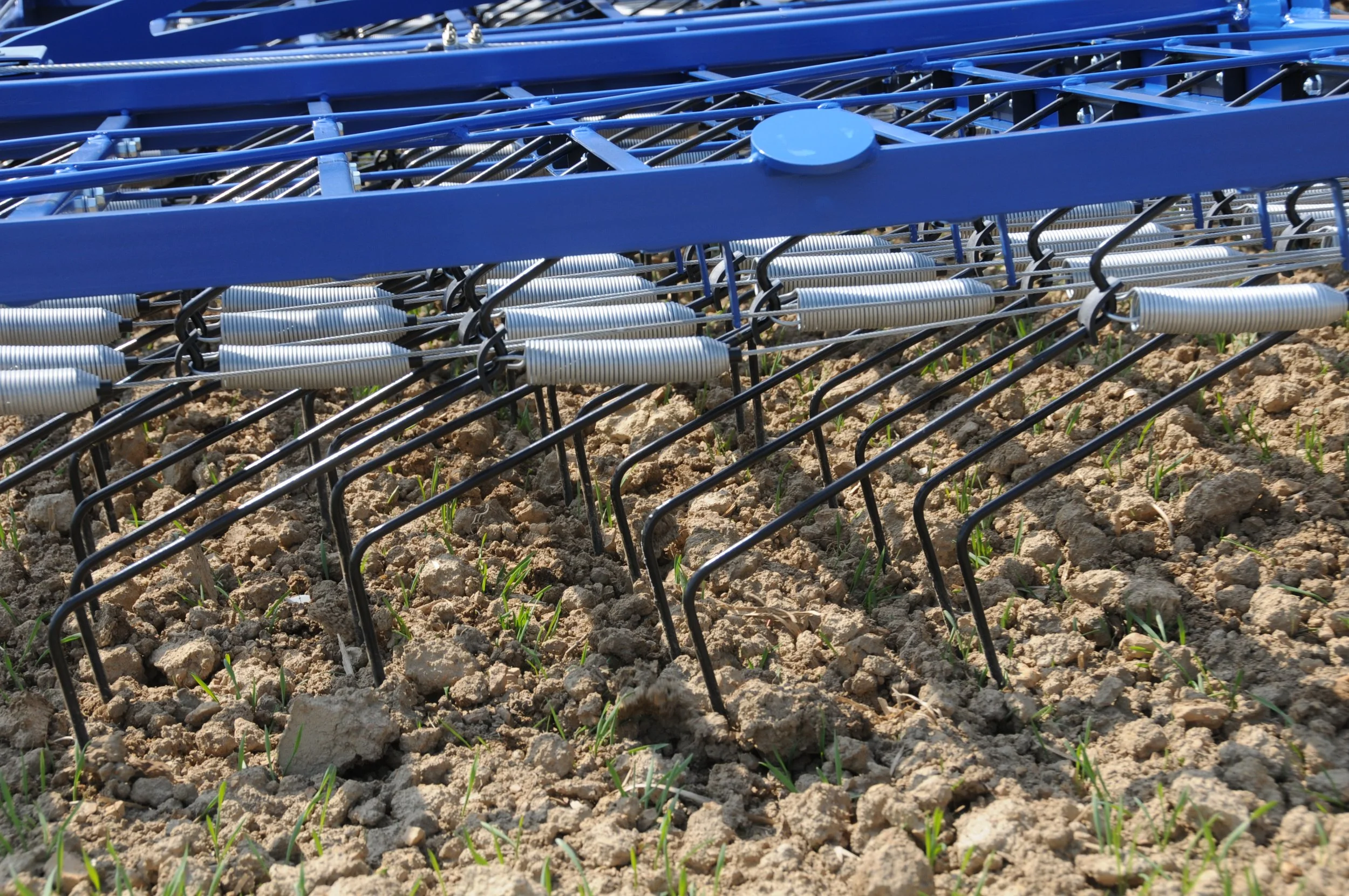Un outil agricole en métal bleu avec des ressorts, posé sur un sol sec avec de jeunes pousses d'herbe.