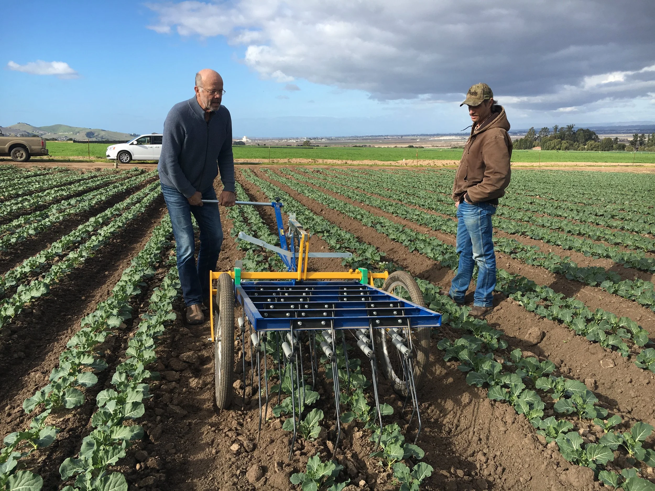 Deux hommes dans un champ agricole utilisant une herse étrille à traction manuelle avec des plants verts en rangées, un ciel nuageux et des véhicules en arrière-plan.