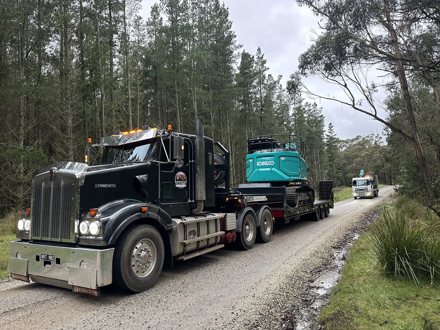 Expert Tree Clearing & Land Clearing Services | Servicing Victoria Wide