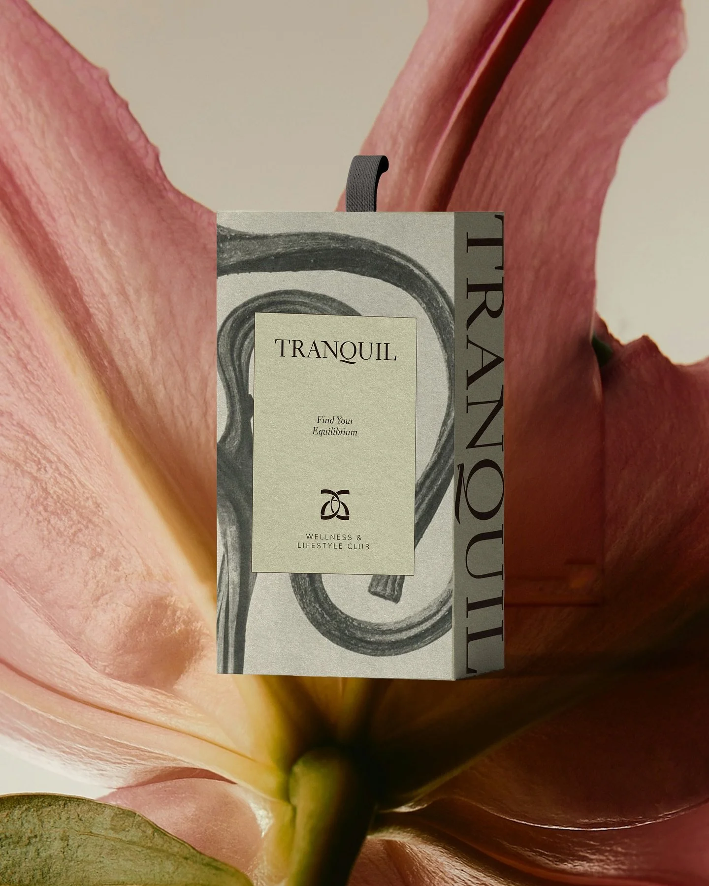 A tough lesson every founder learns: you can have a &lsquo;beautiful&rsquo; brand, but if it&rsquo;s not strategically aligned with your business and its audience, it&rsquo;s never going to convert effectively.

Good design isn&rsquo;t enough. Not if