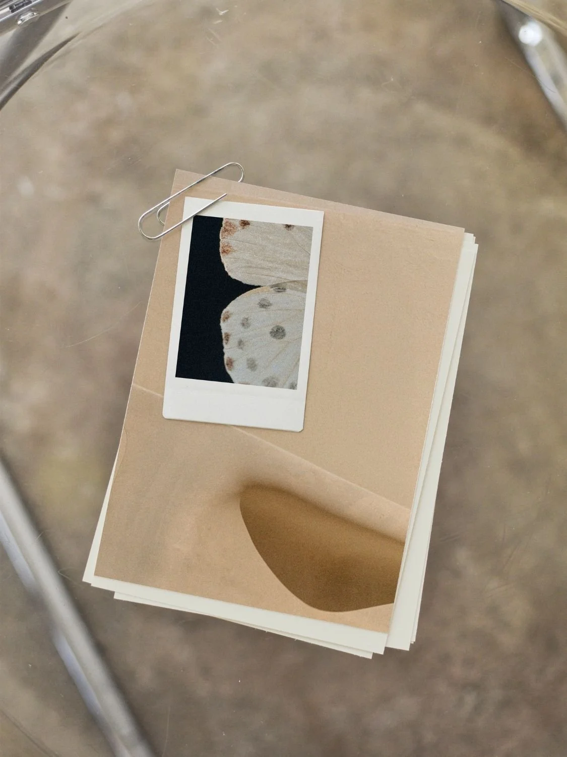 Essentials Brand Audit