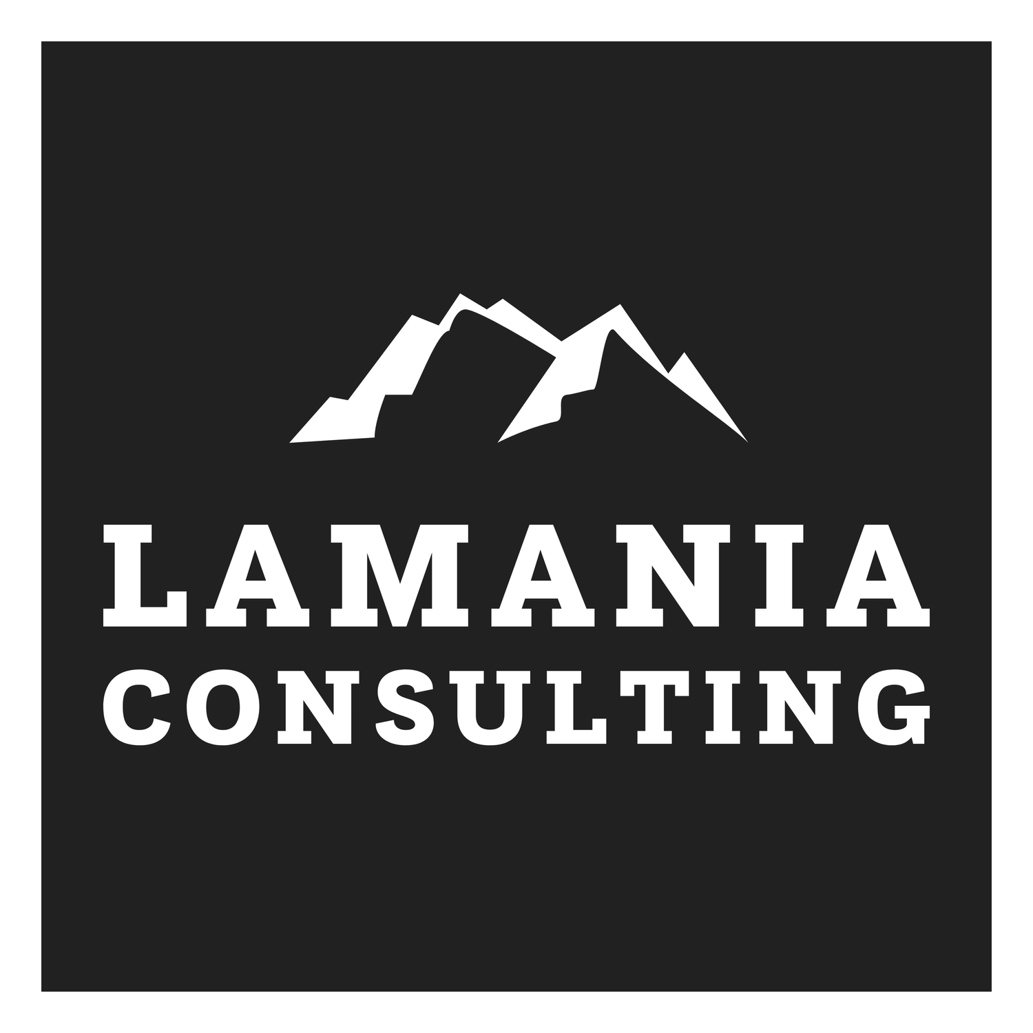 LaMania Consulting