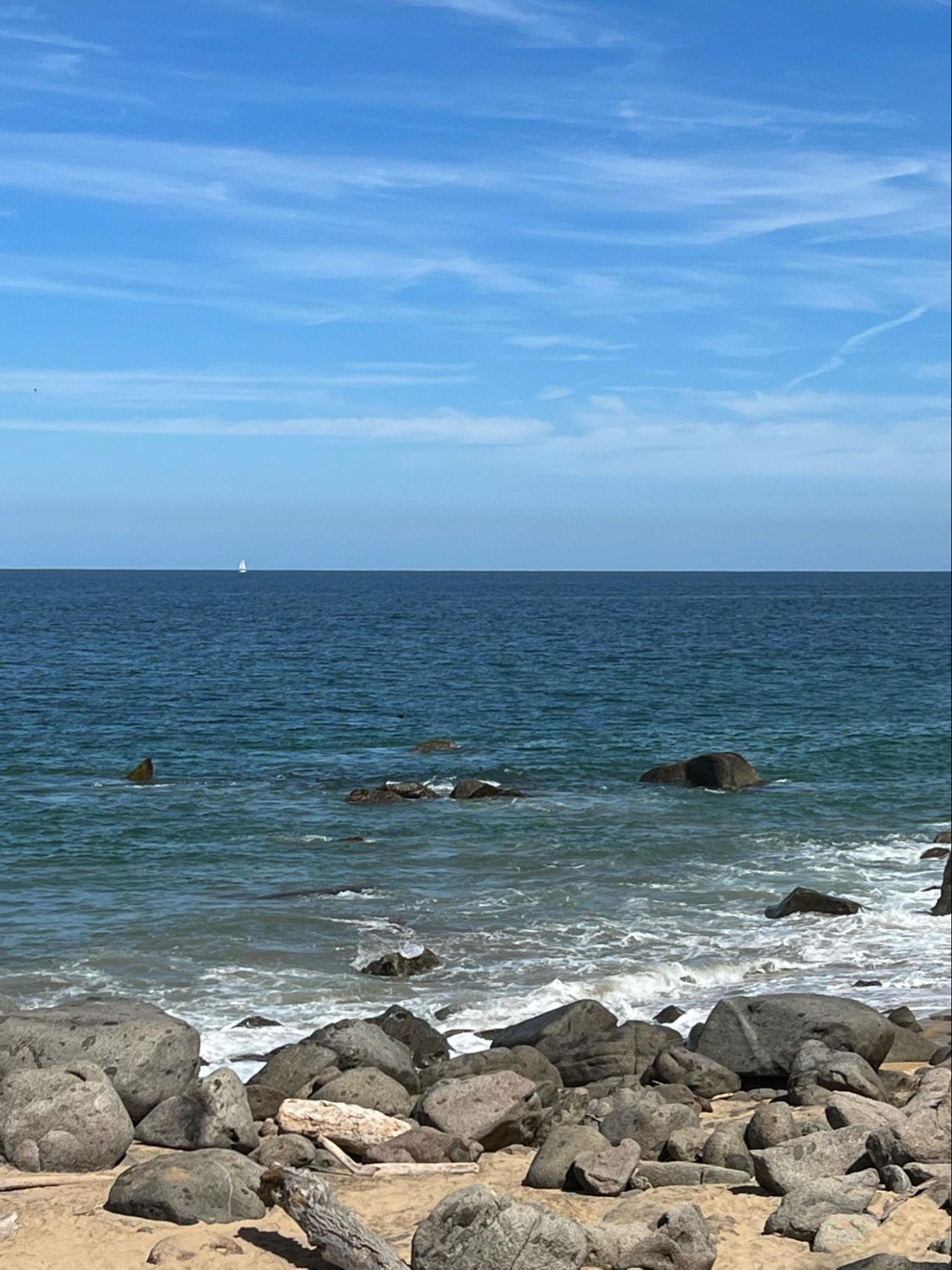 image21.jpg