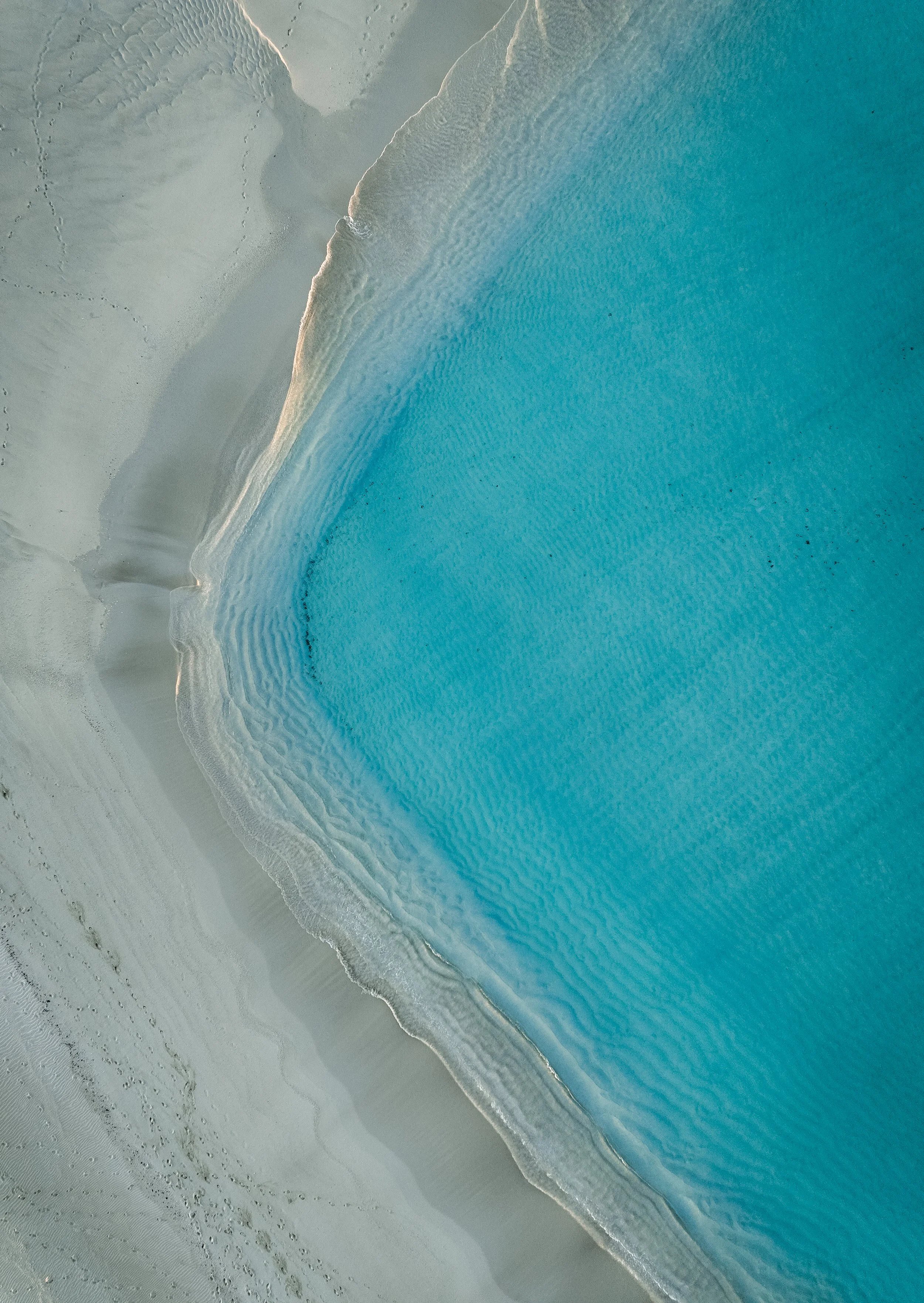 BC0710 NINGALOO.jpg