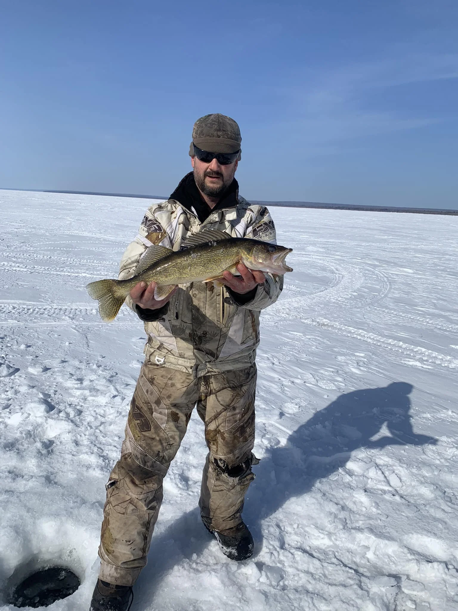 walleye3.jpg