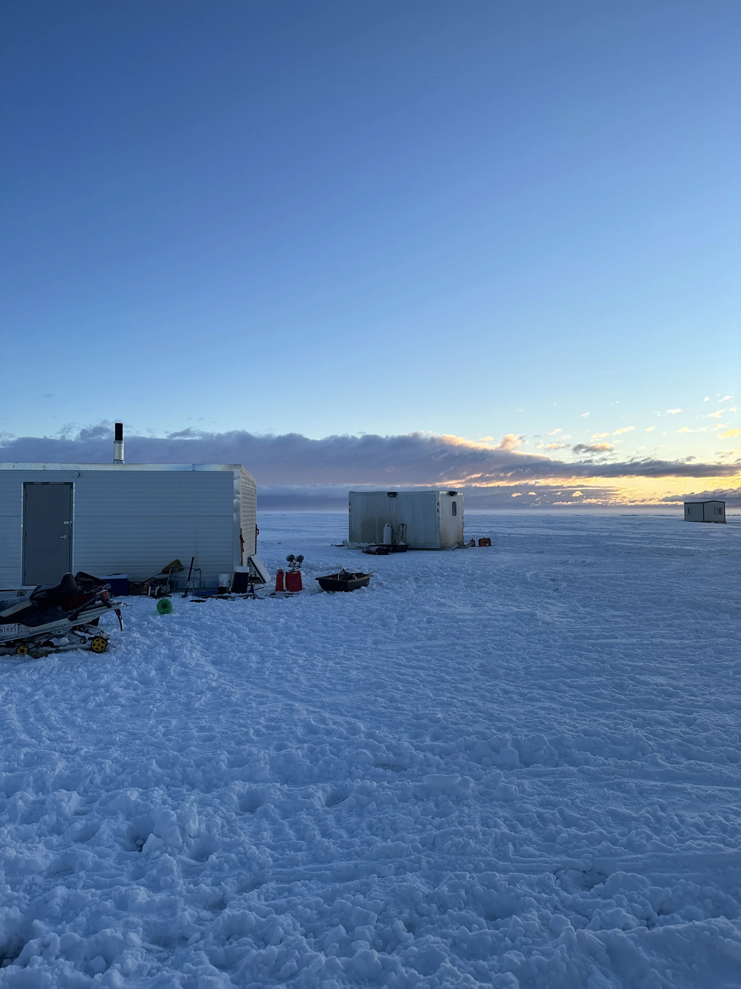 The Catch Slave Lake's Abundant Fish Species and Ice Fishing Success