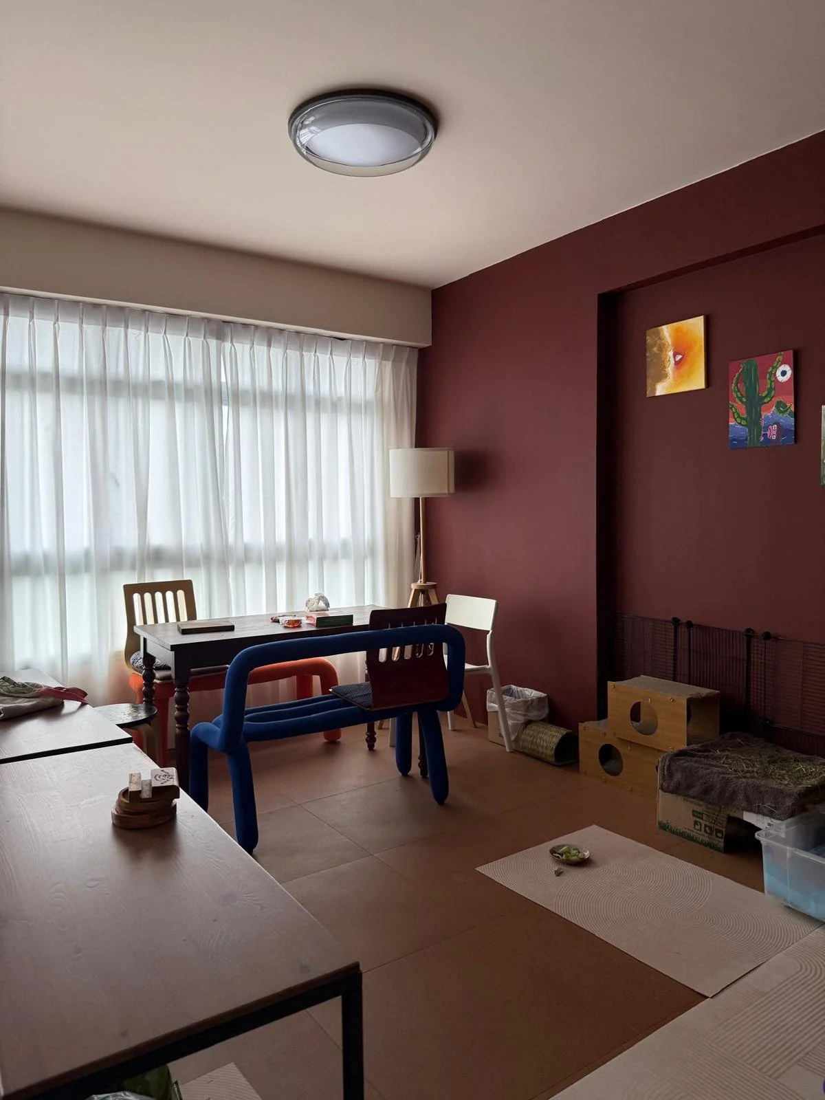 WhatsApp Image 2026-04-21 at 11.26.23 AM.jpeg