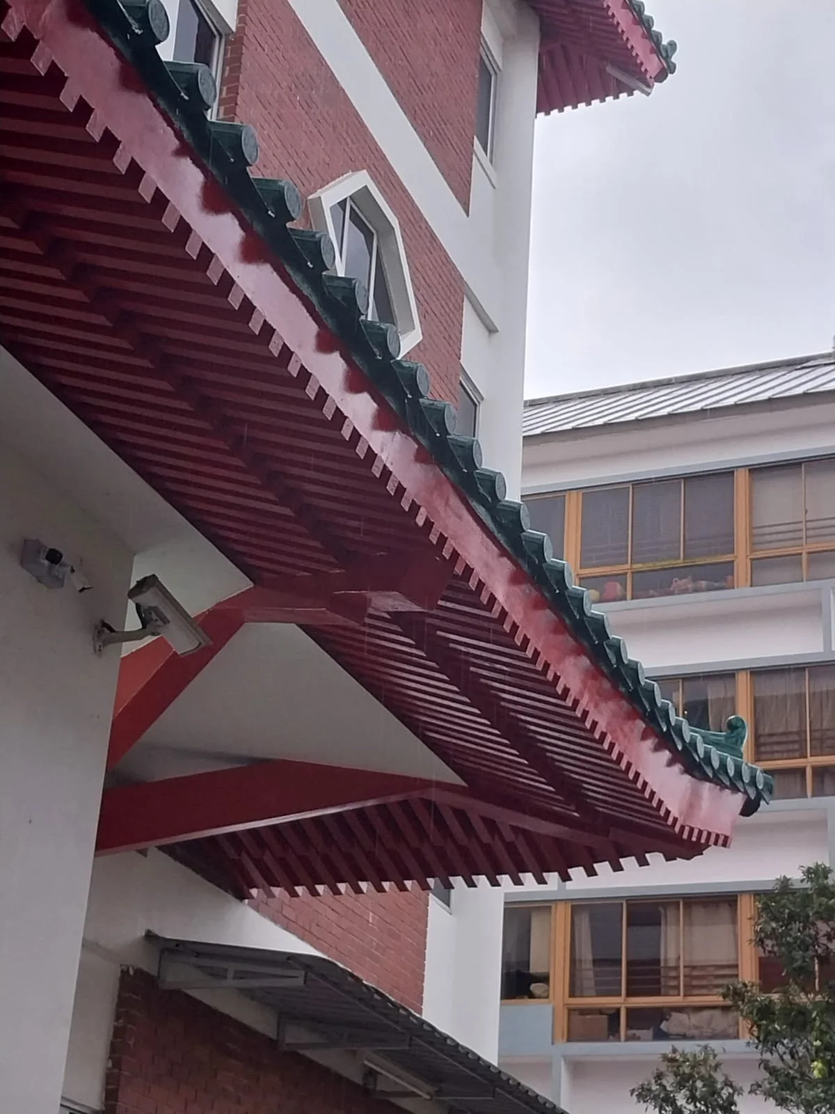 WhatsApp Image 2023-11-15 at 11.06.10 AM.jpeg